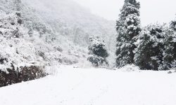 २० घन्टादेखि अवरुद्ध लोकमार्ग सञ्चालनको प्रयास