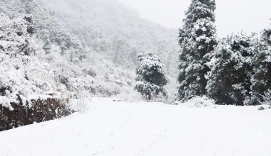 सङ्खुवासभाको मकालु क्षेत्रमा हिमपात, जनजीवन प्रभावित