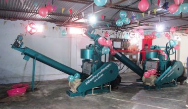 सहकारीले गर्याे तोरी पेल्ने उद्योग सञ्चालन