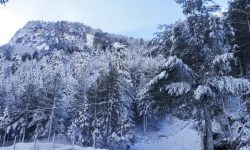 हिउँले सेताम्मे मनाङ