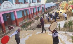 एघार घण्टाभन्दा बढी विद्यालय खोलेर नमूना बनाइँदै जीवनज्योति