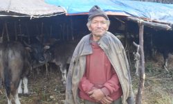 म्याग्दीका घुम्ती गोठ रित्तिँदै