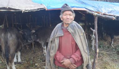 म्याग्दीका घुम्ती गोठ रित्तिँदै