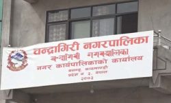 चन्द्रागिरिमा ढक, तराजु दर्ता तथा नवीकरण शिविर