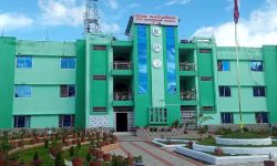 दमकले प्राधिकरणसँग विद्युत् पोल उपयोग गरेबापत भाडा असुल्ने