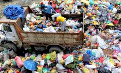 नकुहिने फोहर वर्गीकरण गरेर बिक्री गरिँदै