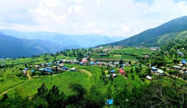 फेरियो साँखगाउँको मुहार