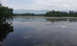 सन्दर्भ विश्व सिमसार दिवस : अत्यधिक दोहनले सङ्कटमा सिमसार