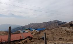 बन्द भए विद्यालय, भारत जान्छन् विद्यार्थी