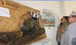 चित्रकलामार्फत काठमाडौंमा झल्कियो खोटाङ