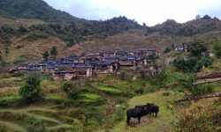 गाउँमा सडक पुग्यो, मासिए सम्पदा