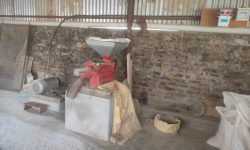 कुटानी मिलमा दक्ष कामदारको अभाव