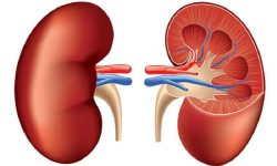 समुदायमै पुगेर मिर्गौला परीक्षण