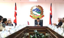 राष्ट्रिय प्रजातन्त्र दिवस तीन दिन भव्यताका साथ मनाइने