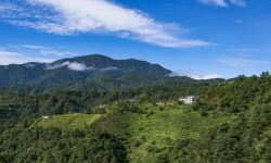 पनौतीको चामखरमा पर्यटकको चहलपहल