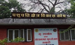 पशुपति क्षेत्रको जग्गा हडपेर बनाइएका संरचनाको खोजी