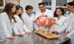 पशु विज्ञानमा विद्यार्थीको आकर्षण