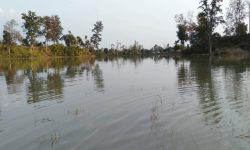 ऐतिहासिक पुरैना तालको रेखाङ्कन