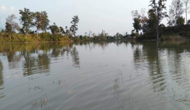 ऐतिहासिक पुरैना तालको रेखाङ्कन