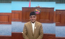 प्रतिपक्षले उठाएका मुद्दालाई समस्या ठान्नु लोकतन्त्रसम्मत हुँदैन : सांसद पोखरेल