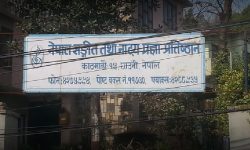 NAMD marks music maestro Gurung’s 86th birth anniversary