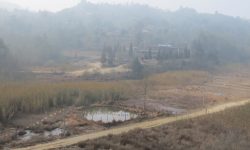 संरक्षणको पर्खाइमा चौबिसेका ताल