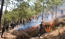 सुरक्षाकर्मीले गरे आगो निभाउने संयुक्त अभ्यास