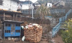 प्रकृति र संस्कृतिलाई घरवासमार्फत जोड्दै पसगाउँ