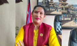 संसद्लाई गतिशील तुल्याउन सत्तापक्ष र प्रतिपक्ष दुवैले अग्रसरता देखाउनुपर्छ : सांसद विक