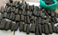 त्रिभुवन विमानस्थलबाट १५ किलो चरेस बरामद