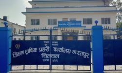 सात सयभन्दा बढी बैंकिङ कसुरका निवेदन