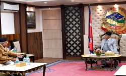 सभापति देउवा र अध्यक्ष नेपालबीच भेटवार्ता