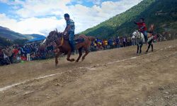 घोडा दौड प्रतियोगिताको उपाधी दिपेन्द्रलाई