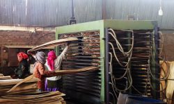 नेपाली प्लाइउडको भारत निर्यात अवरोध हट्यो