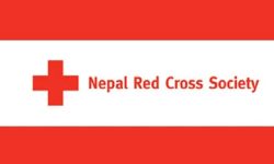 रेडक्रसद्वारा टोलटोलमा मनोपरामर्श सेवा सञ्चालन