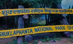शुक्लाफाँटा भ्रमण गर्ने पर्यटकलाई ‘नेचर गाइड’ निःशुल्क