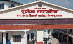 स्नातक छोरीबुहारीलाई सूर्योदय नगरपालिकामा सय दिनको रोजगारी