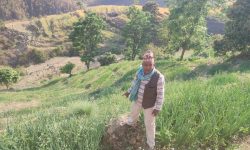 डोटीमा प्याजखेतीप्रति बढ्दो आकर्षण