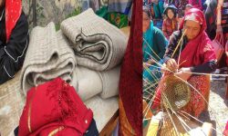 महिलालाई उद्यम गर्न सघाउँदै बागलुङको तमानखोला गाउँपालिका