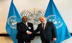 विकासका उपलब्धि जोगाउन सार्थक सहयोगका लागि उपप्रमको जोड