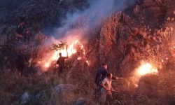 नेफेजले गर्याे डढेलो नियन्त्रण र तत्काल राहत वितरण गर्न आग्रह