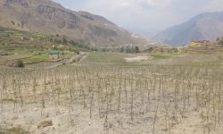 कालीकोट जिल्लाकै नमूना स्याउ फोइमहादेवमा