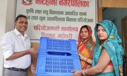 डाले घाँसको बीउ पाएपछि मटिहानीका किसान दङ्ग