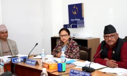 सरकार जतिसक्दो चाँडो सञ्चारसम्बन्धी ऐन ल्याउने तयारीमा छ : सञ्चारमन्त्री