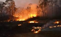 डढेलोले वातावरण प्रदुषित