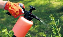 विषादी प्रयोगबारे सचेत बन्दै किसान