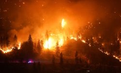 डढेलोबाट प्रभावित पश्चिमी क्यानाडामा छ हजारभन्दा बढी विस्थापित