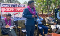 मन्त्री भण्डारीले गरे बैतडीबाट कफीखेतीको शुभारम्भ