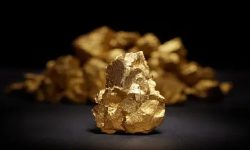 चोरले एक तोला सुन निलेपछि…