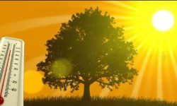 तातो हावा ‘लू’ ले जनजीवन कष्टकर